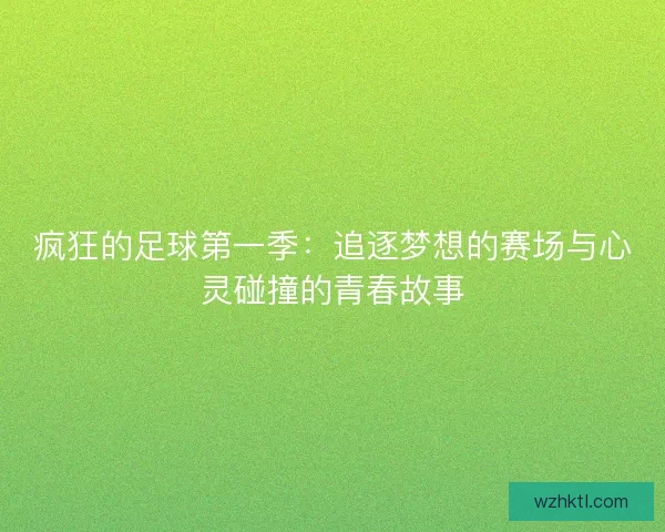 疯狂的足球第一季：追逐梦想的赛场与心灵碰撞的青春故事