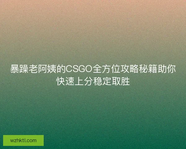 暴躁老阿姨的CSGO全方位攻略秘籍助你快速上分稳定取胜