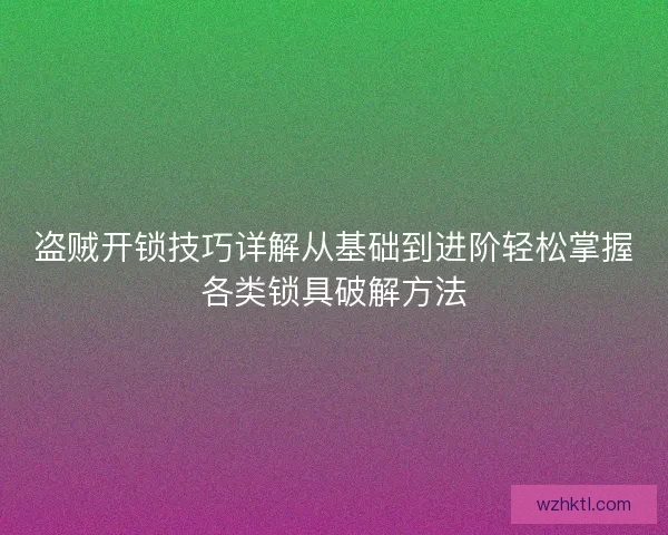 盗贼开锁技巧详解从基础到进阶轻松掌握各类锁具破解方法