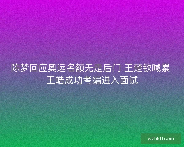陈梦回应奥运名额无走后门 王楚钦喊累 王皓成功考编进入面试